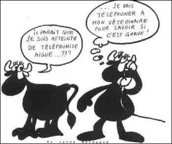 L'adjectif noiraud qui signifie d'une personne qu'elle a le teint mat et les cheveux bruns ou noirs, peut-il être aussi un substantif ?