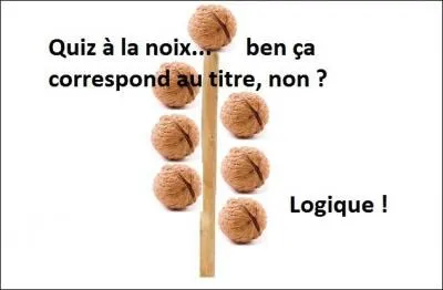 Je vais sûrement respecter le titre du quiz, si bien que son contenu pourra être qualifié de -------.