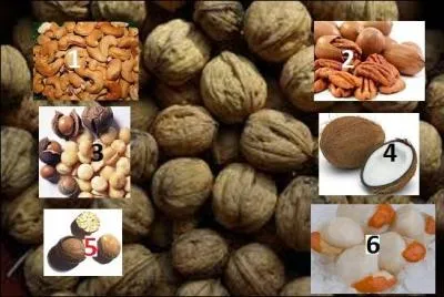 Quelle est la noix intruse ?