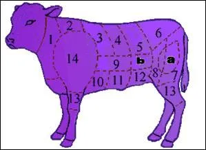 Où se trouve la noix de veau que vous pourrez préparer rôtie, grillée, poêlée ?