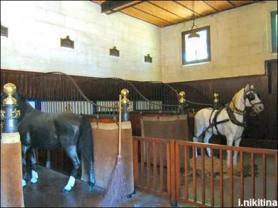 Les écuries monumentales du château de Meung-sur-Loire fournissaient des étalons au roi François Ier.