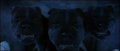 Et ce chien à trois têtes ?