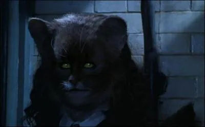 Qui s'est transformée par erreur en chat ?