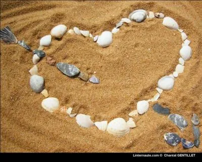 Qui chantait "Il y mettait du temps du talent et du coeur, il changeait la vie" ?