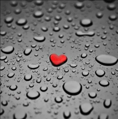 De qui sont les vers "Il pleure dans mon coeur" ... ?