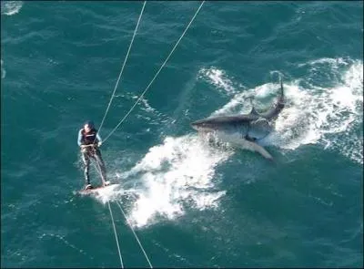 J'ai trouvé une expression populaire qui me semble parfaitement convenir à la photo : Avoir le trouillomètre à zéro !