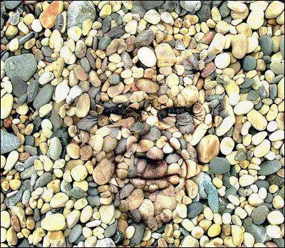 Qui est cet abb&eacute; du IV e si&egrave;cle qui garda pendant 3 ans un caillou dans la bouche pour apprendre &agrave; se taire ?