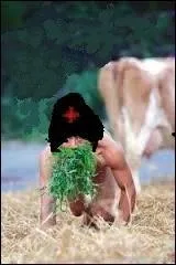 Qui sont ces moines qui se nourrissent &agrave; m&ecirc;me le sol d'herbes et de racines &agrave; genoux comme des b&ecirc;tes ?