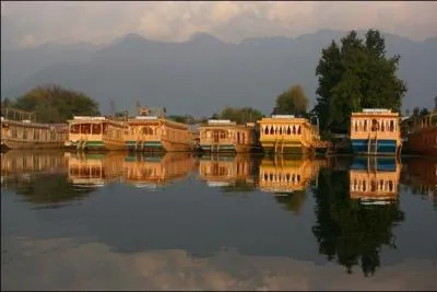 Dans quel état de l'Inde est située la ville de Srinagar ?