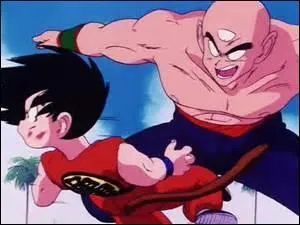 Comment se termine le premier Tenkaichi Budokai de Sangoku ?
