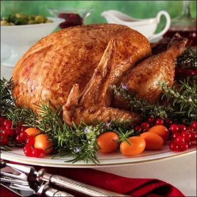 Voici la traditionnelle dinde de Noël. Elle fut rapportée par les conquérants espagnols qui nous l'ont fait connaître. De quel pays la ramenèrent-ils ?