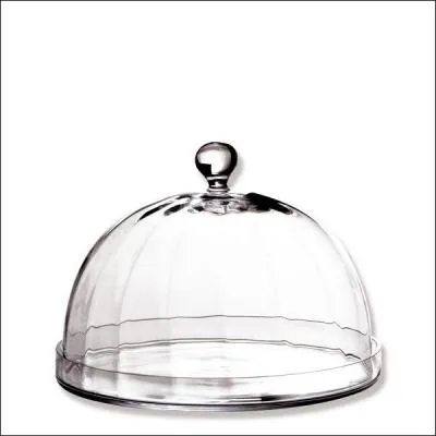 M&ecirc;me si l'on en trouve de presque semblables pos&eacute;es sur les jeunes pousses pour les prot&eacute;ger du froid et les aider &agrave; grandir, que recouvre cette jolie cloche&nbsp; ?