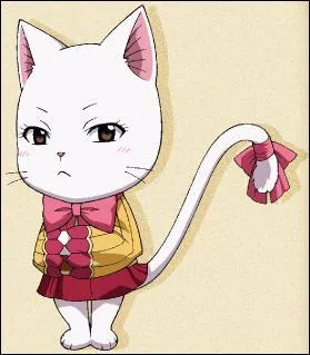 Comment s'appelle cette chatte en japonais ?