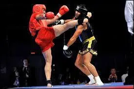 Le "sanda" est une version moderne de :