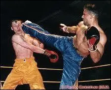 Durant quelle décennie a-t-on véritablement assisté à la création et au développement du full-contact ?