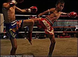 Dirigeons-nous maintenant vers l'Asie du Sud-Est, véritable vivier de boxes pieds-poings, où les coudes et les genoux sont ajoutés dans la panoplie de coups autorisés. La plus connue demeure la boxe thaïlandaise ou "muay-thaï". Que signifie le terme "muay" ?