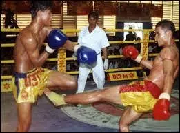 La Birmanie a aussi sa propre boxe, nommée "bama lethwei". Egalement, notons l'existence du "pradal serey" ou "boxe khmère", cette discipline étant originaire :