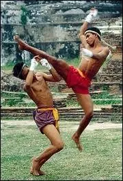 Au Vietnam, la boxe locale porte le nom de "vo-tu-do". Selon vous, quel nom donne-t-on à la boxe originaire du Laos ?