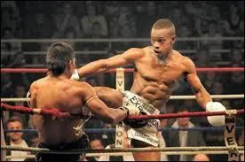 Dans laquelle de ces disciplines peut-on frapper avec les genoux ?