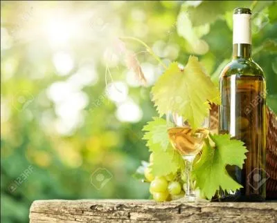 Quel est ce fameux vin blanc produit en Touraine ?