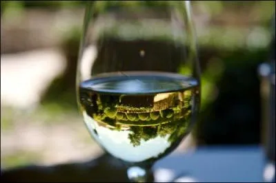 Qu'appelle-t-on un "blanc de blancs" ?