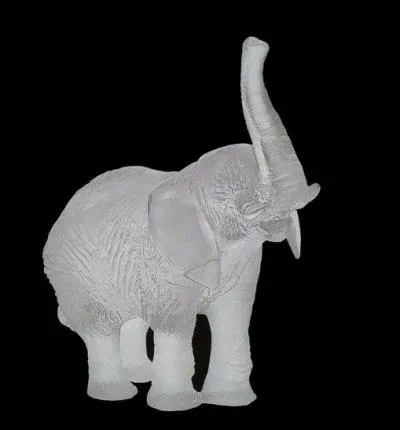 L'éléphant blanc existe-t-il ?