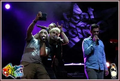 Quel artiste de comédie musicale n'a-t-il pas sorti d'album ?