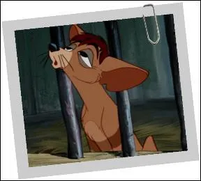 Comment s'appelle ce personnage de "La Belle et le clochard" ?