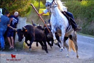 Cette photo a été prise à ...