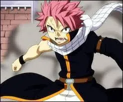 'Fairy Tail' : c'est Natsu Dragnir. La vraie information est la suivante :