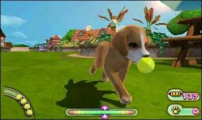 Quel nom porte ce jeu où l'on doit s'occuper d'animaux ?