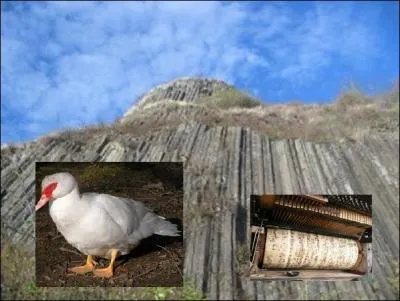 Cet instrument, que vous aurez reconnu grâce aux indices, fait partie de la famille des instruments -------------.