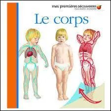 Qu'enveloppe le péritoine ?