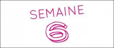 Qui a dû quitter l'émission pour des raisons personnelles lors de la 6 e semaine ?