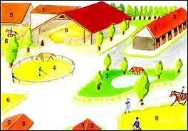 Trouve les parties du centre équestre.