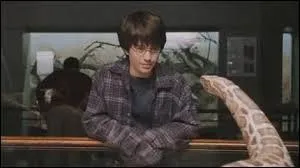 Pourquoi Harry fut-il puni lors du retour du zoo ?