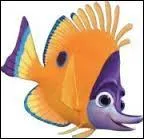 Comment s'appelle ce petit poisson ?