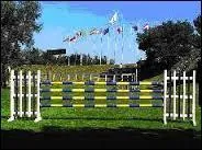 Quel nom porte ce profil ?