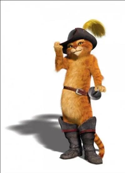 Compagnon des aventures de Shrek, qui est-il ?