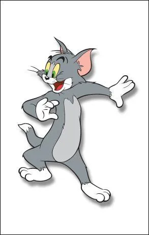 Chacune de nos rencontres avec Jerry entraîne une course poursuite dévastatrice, je suis :