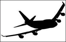 Pourquoi cet avion parti de New Dehli en direction de Calcutta a été forcé de se poser en urgence au bout de quelques heures ?