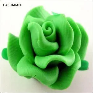 Nom d'une espèce de ver à soie :