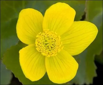 Passage souterrain :