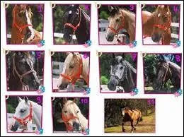 Prancer est une jument.