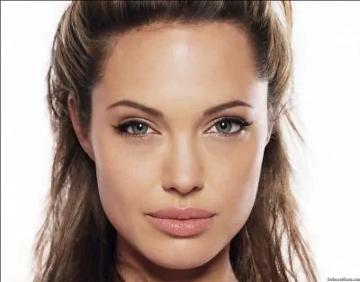 Quelle est l'origine d'Angelina Jolie ?