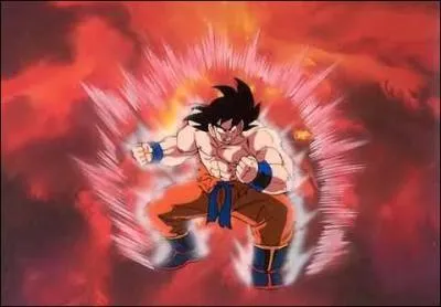 Quel est le nom de cette technique ?