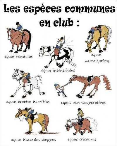 Ca vous envoie en l'air !