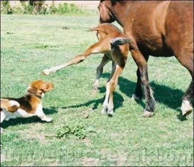 Tâchez de ne pas dérailler sur cette réponse !