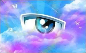 Avec cette image, avez-vous trouvé le bon membre ?