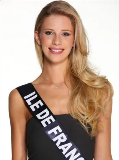 C'est là où se trouve la capitale de notre pays, la France. Cette superbe région est représentée par :